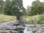 IMG 4606